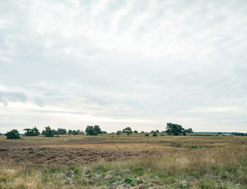 From Raw Land to Reality: Navigating Civil Development in DFW & Oklahoma